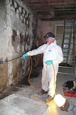 TSO Termites - Chantier mérule à Bordeaux - Ecran murs