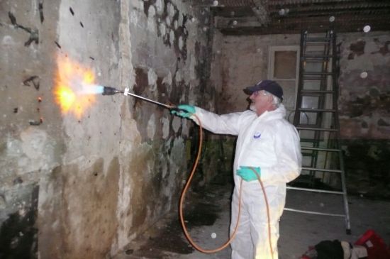 TSO Termites - Chantier mérule à Bordeaux - Brûlage des murs